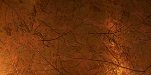 Bare tree branches silhouetted against an orange, textured background.