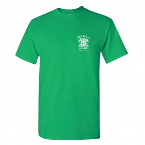 Green T-shirt with a small white logo on the chest.