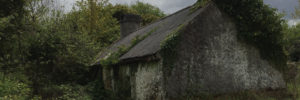 Old stone cottage with a thatched roof covered in moss and ivy.
